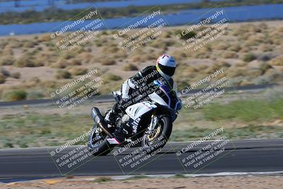 media/Apr-14-2024-SoCal Trackdays (Sun) [[70f97d3d4f]]/1-Turn 5 Tree of Life (920am)/